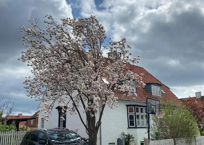 Family-friendly House With Garden And Parking Spot